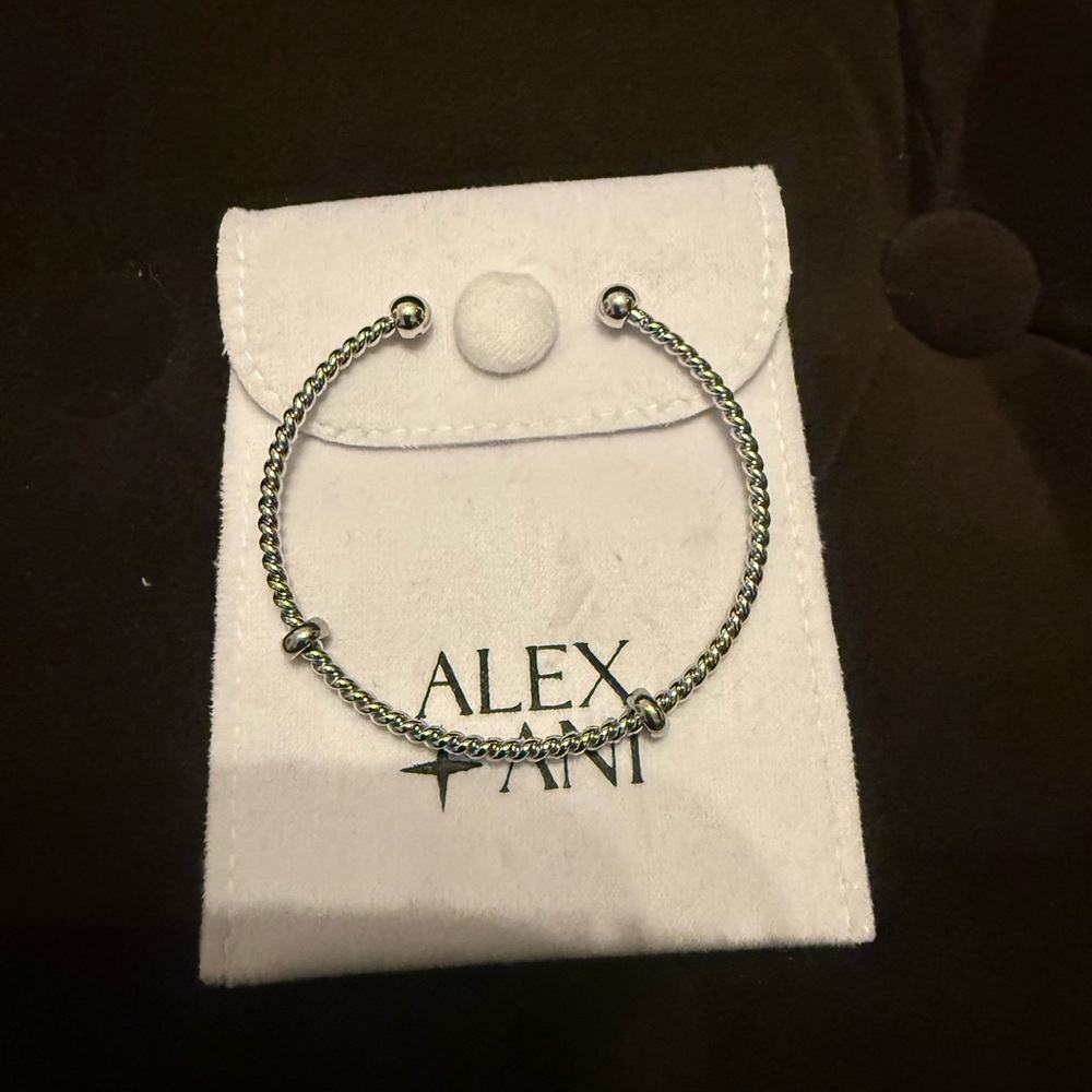 Alex and Ani Silver Chain Bracelet